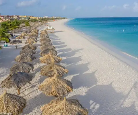 strand amsterdam manor beach resort aruba