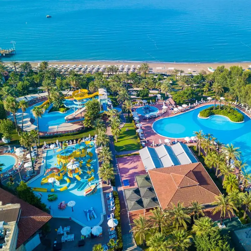 paloma grida belek turkije