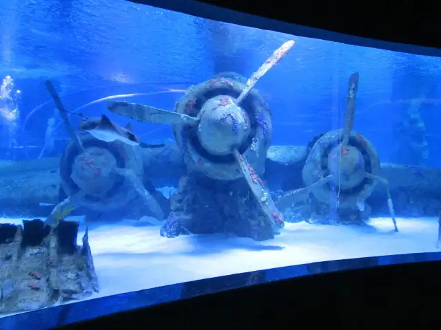 Antalya Aquarium in Antalya